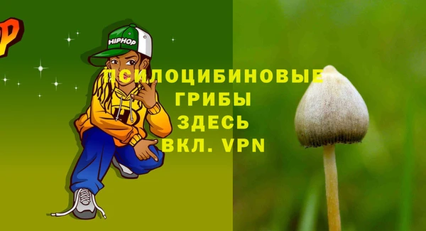 a pvp Михайловск